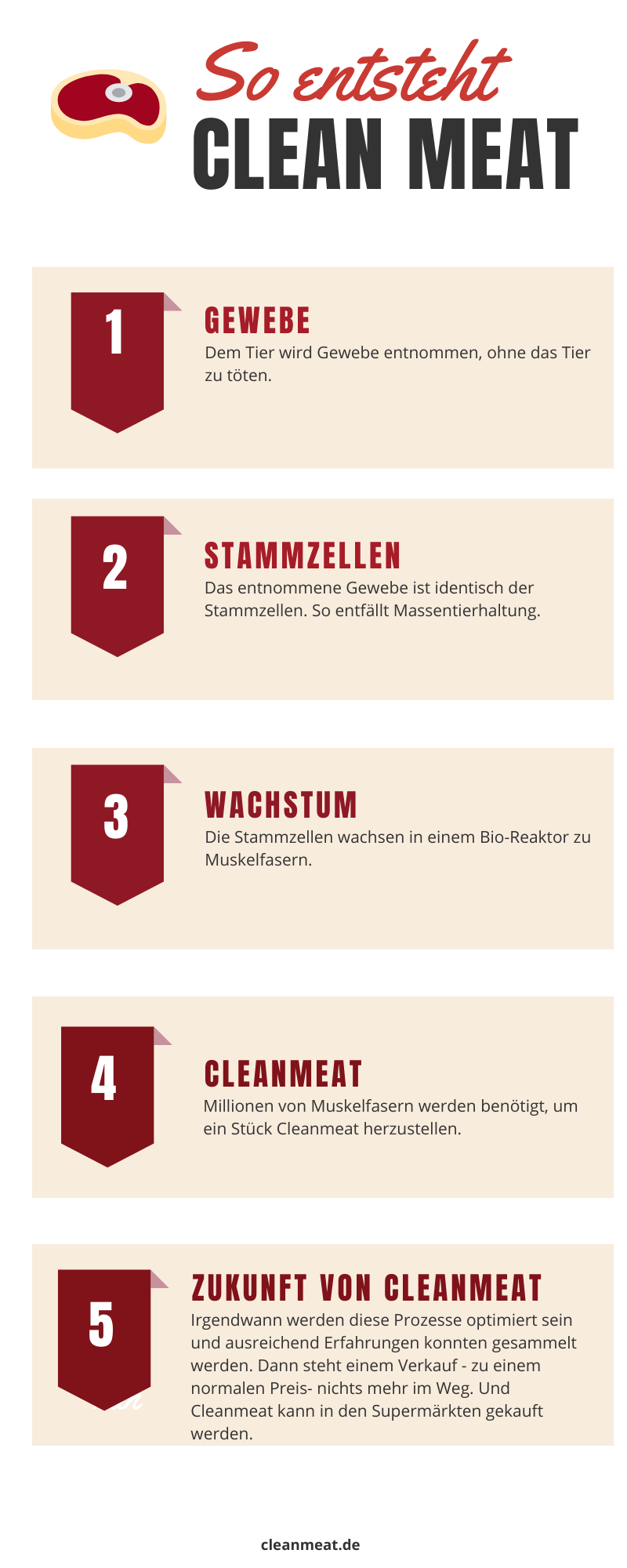 Clean Meat. Wie entsteht es? Clean Meat. Wie entsteht es?